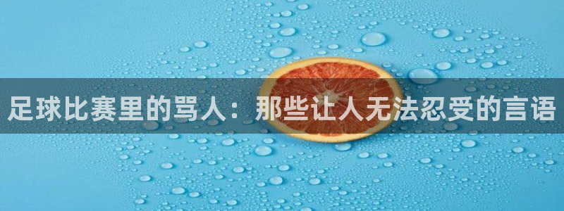  vSport体育在线登录平台：足球比赛里的骂人：那些让人无法