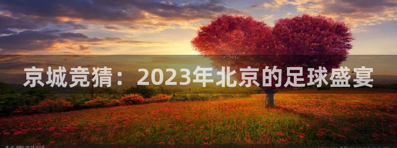  vsport体育平台app下载安装免费：京城竞猜：2023年