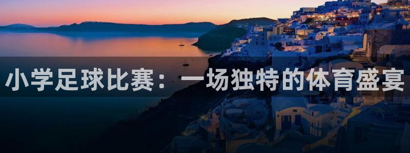 vsport体育平台app：小学足球比赛：一场独特的体育盛宴