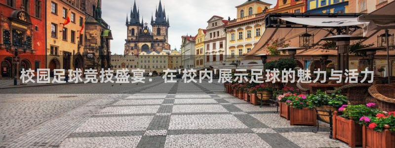Vsport体育官方网站入口：校园足球竞技盛宴：在\'校内\