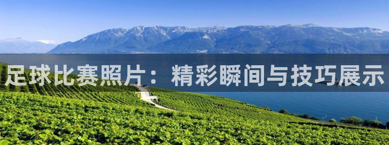 vsport体育平台app下载安装免费：足球比赛照片：精彩瞬