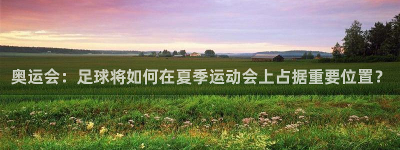  vSport体育app最新版本更新内容：奥运会：足球将如何在