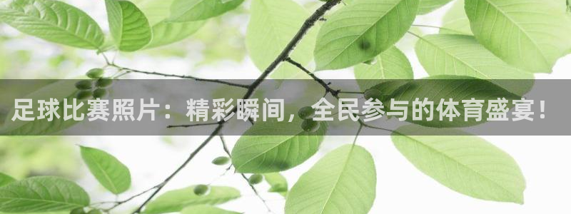 vsport体育在线官网阿根廷：足球比赛照片：精彩瞬间，全民