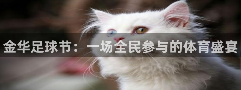  Vsport体育官网：金华足球节：一场全民参与的体育盛宴