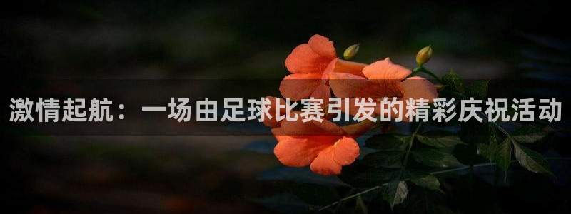  vSport体育app最新版本更新内容：激情起航：一场由足球