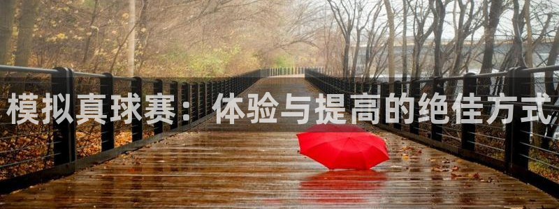 vsport体育阿根廷：模拟真球赛：体验与提高的绝佳方式
