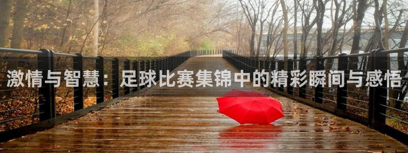  vsport体育阿根廷：激情与智慧：足球比赛集锦中的精彩瞬间