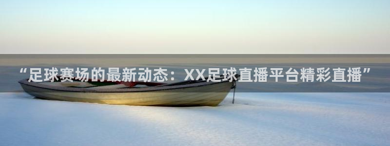  vsport体育在线官网：“足球赛场的最新动态：XX足球直播