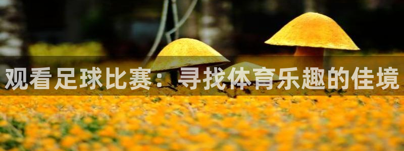 Vsport体育官网：观看足球比赛：寻找体育乐趣的佳境