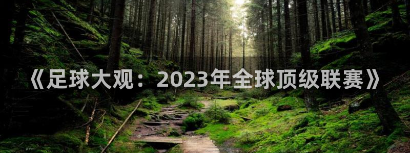 vsport体育平台app下载安装免费：《足球大观：2023