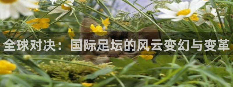  哈哈体育体育官网入口：全球对决：国际足坛的风云变幻与变革