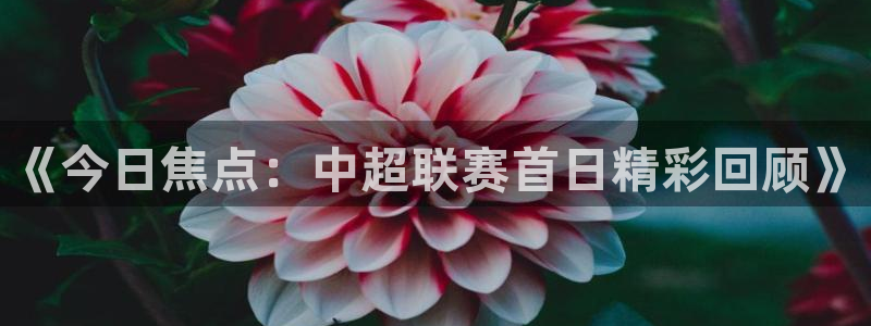 vsport体育阿根廷：《今日焦点：中超联赛首日精彩回顾》