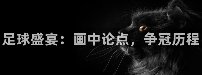 哈哈体育体育平台-胜利因您更精彩：足球盛宴：画中论点，争冠历