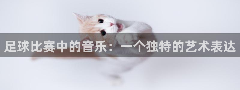  vsport体育在线官网：足球比赛中的音乐：一个独特的艺术表