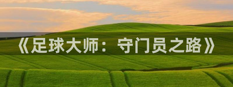  vsport体育阿根廷：《足球大师：守门员之路》